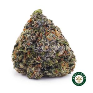Buy weed Master Jedi AAA wc cannabis weed dispensary & online pot shop