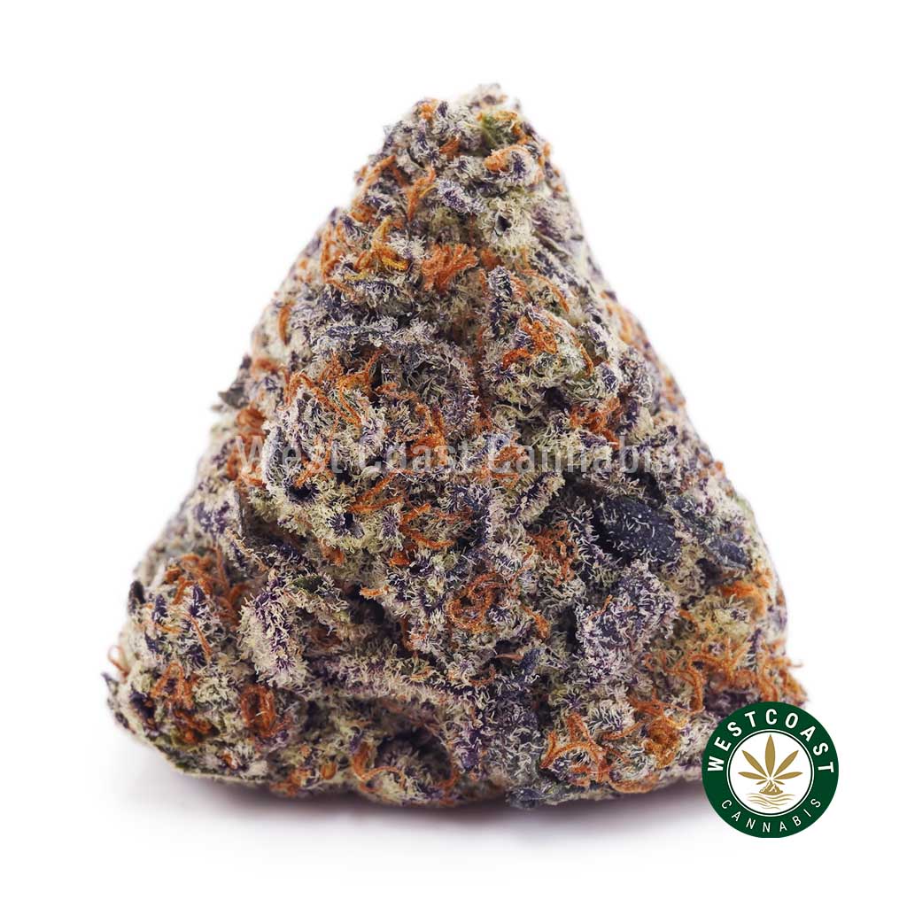 Buy weed Cherry Pie AAAA wc cannabis weed dispensary & online pot shop