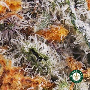 Buy weed Dank Kush Breath AAA wc cannabis weed dispensary & online pot shop