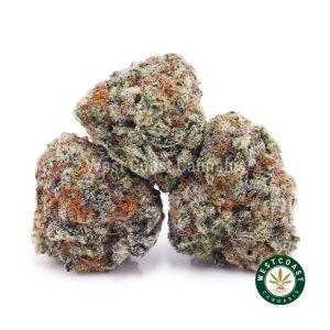Buy weed Alien Space Cookies AAAA (Popcorn Nugs) wc cannabis weed dispensary & online pot shop