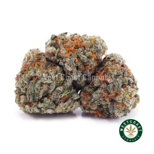 Buy weed White Tahoe Cookies AAAA (Popcorn Nugs) wc cannabis weed dispensary & online pot shop