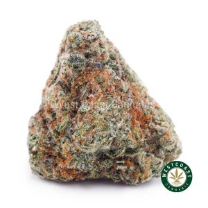 Buy weed White Biscotti AAAA wc cannabis weed dispensary & online pot shop