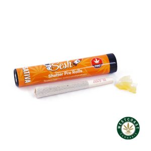 Buy Sesh Shatter Joints - Sativa at Wccannabis Online Shop