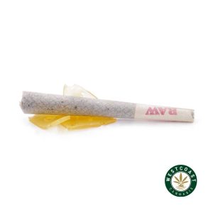 Buy Sesh Shatter Joints - Indica at Wccannabis Online Shop
