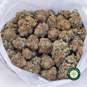 Buy weed Pink Runtz AAA wc cannabis weed dispensary & online pot shop