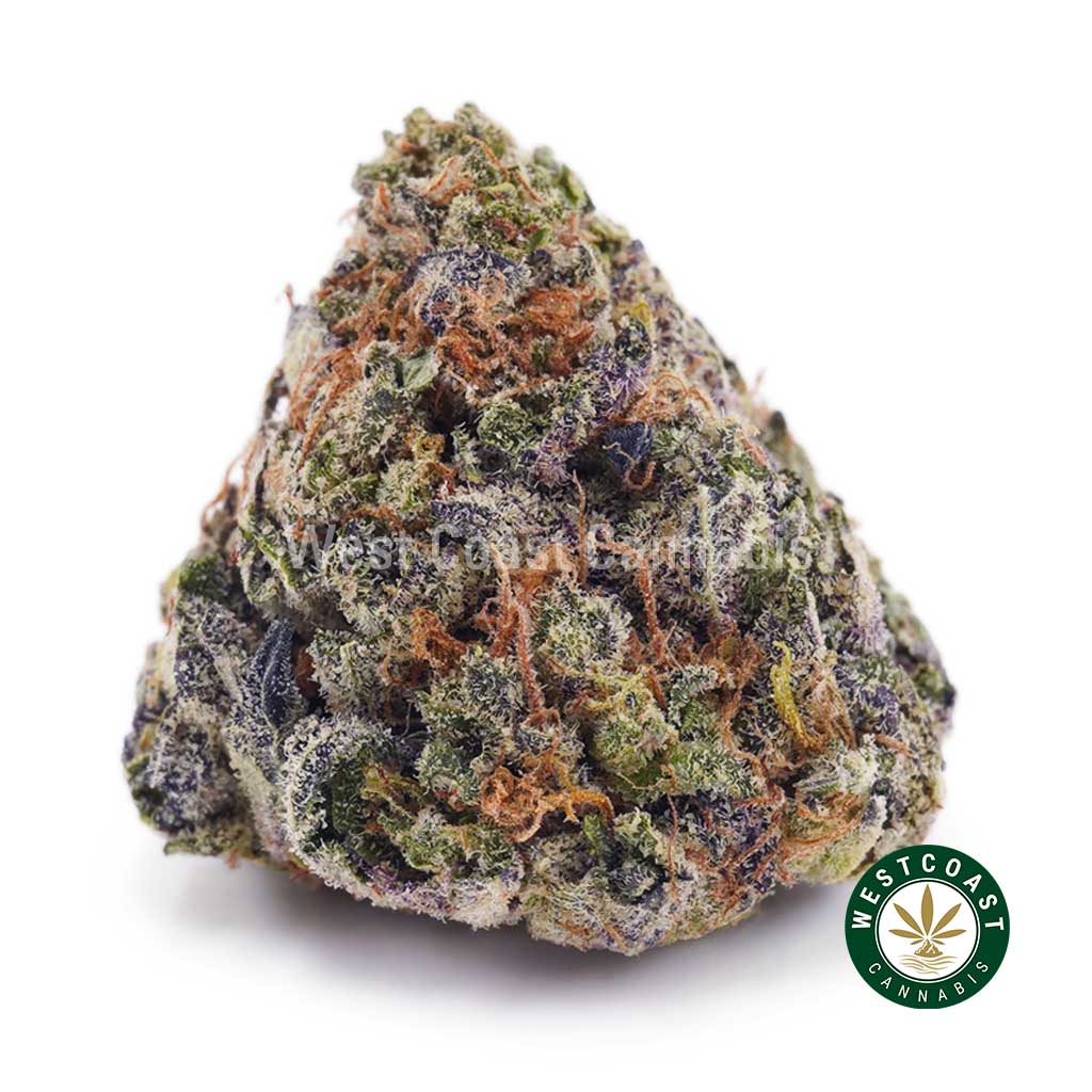 Buy weed Durban Poison AAA wc cannabis weed dispensary & online pot shop