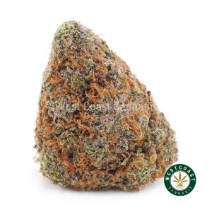 Buy weed King Tut AAA wc cannabis weed dispensary & online pot shop