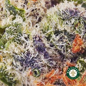Buy weed Super Silver Haze AAA wc cannabis weed dispensary & online pot shop