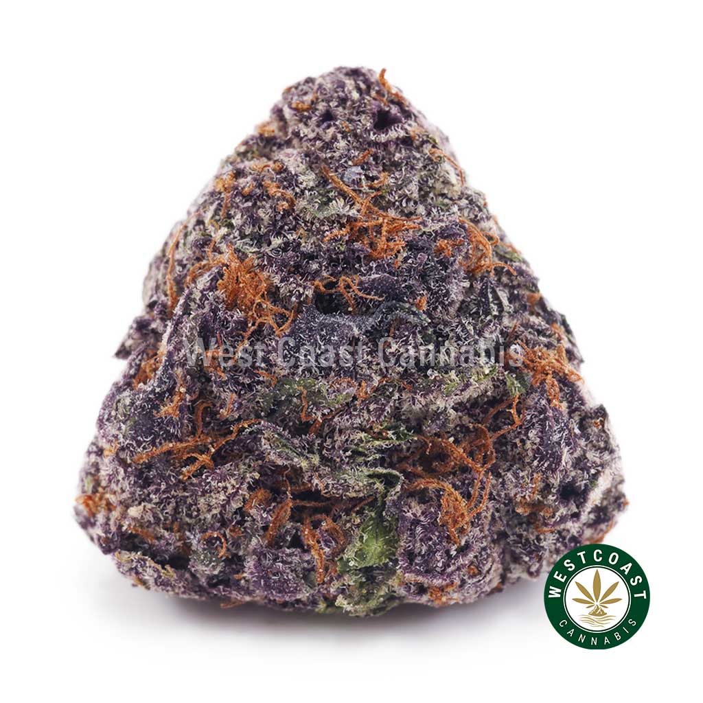 Buy weed Purple Haze AAAA wc cannabis weed dispensary & online pot shop
