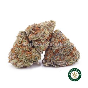 Buy weed Guava Biscotti AAAA (Popcorn Nugs) wc cannabis weed dispensary & online pot shop