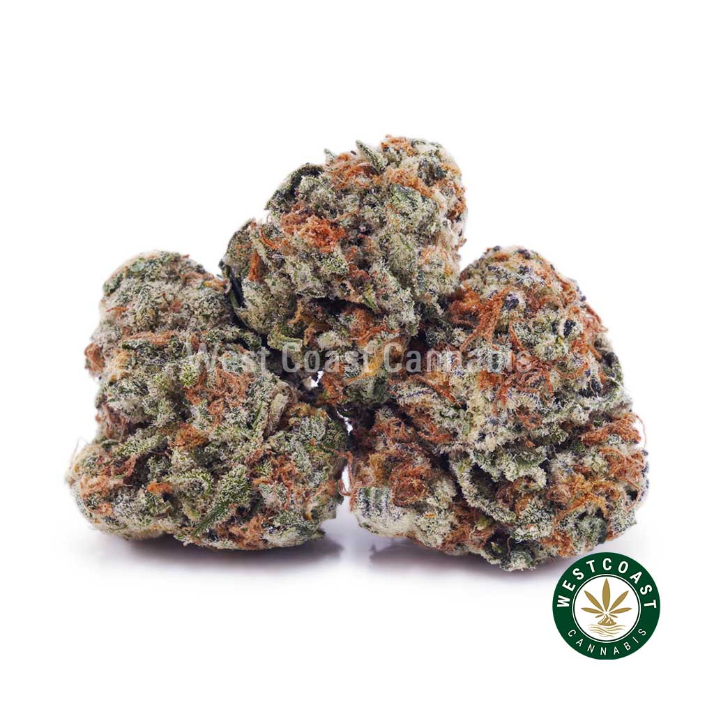 Buy weed Passionfruit Haze AAAA (Popcorn Nugs) wc cannabis weed dispensary & online pot shop