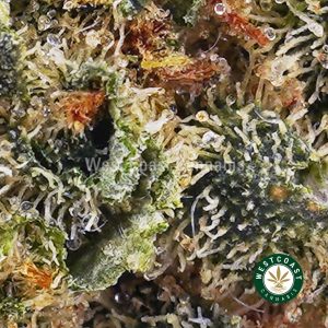 Buy weed Juicy Fruit AAAA (Popcorn Nugs) wc cannabis weed dispensary & online pot shop