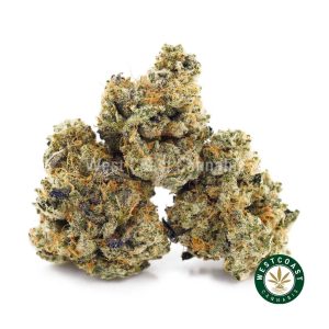 Buy weed Thin Mintz AAAA (Popcorn Nugs) wc cannabis weed dispensary & online pot shop