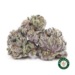 Buy weed Gary Payton AAAA (Popcorn Nugs) wc cannabis weed dispensary & online pot shop