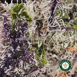 Buy weed Gary Payton AAAA (Popcorn Nugs) wc cannabis weed dispensary & online pot shop
