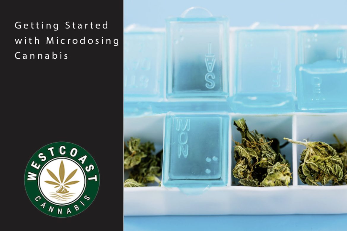 wcc blog microdosing cannabis