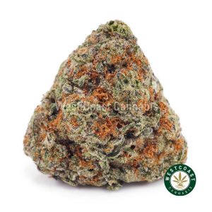 Buy weed Biscotti AAAA wc cannabis weed dispensary & online pot shop