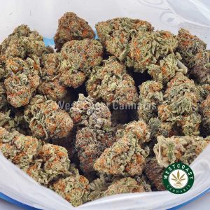 Buy weed Biscotti AAAA wc cannabis weed dispensary & online pot shop