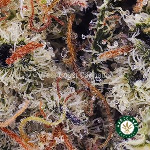 Buy weed Cinderella 99 AA wc cannabis weed dispensary & online pot shop