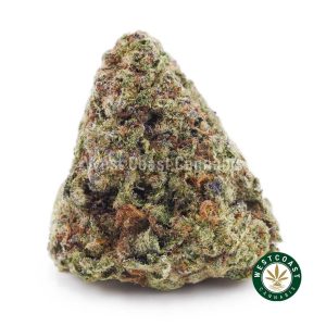 Buy weed Cookies Monster AAA wc cannabis weed dispensary & online pot shop