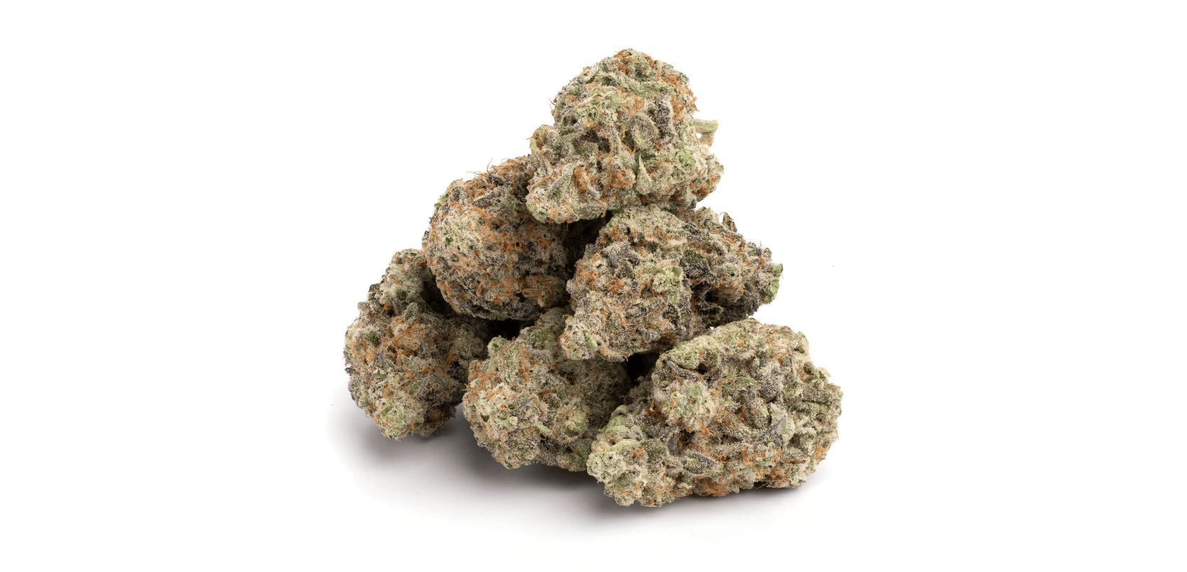 To conclude this Mac 10 strain review, know that West Coast Cannabis is more than just an online dispensary in Canada; it’s your sidekick in bringing your cannabis journey to the next level.