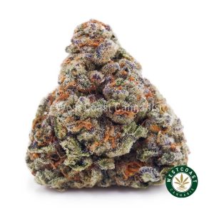 Buy weed Orange Creamsicles AAAA wc cannabis weed dispensary & online pot shop