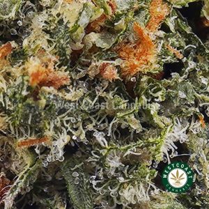 Buy weed Ghost Train Haze AAA wc cannabis weed dispensary & online pot shop