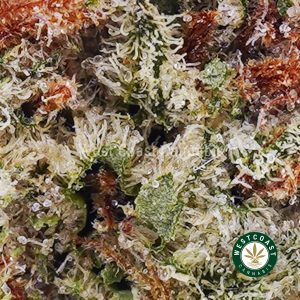 Buy weed Cookies and Cream AAA wc cannabis weed dispensary & online pot shop