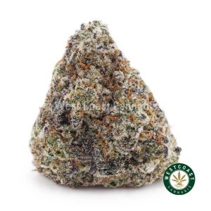 Buy weed Lemon Cookies AAA wc cannabis weed dispensary & online pot shop