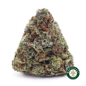 Buy weed Grape Runtz AAAA wc cannabis weed dispensary & online pot shop