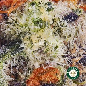 Buy weed Space Cookies AAAA wc cannabis weed dispensary & online pot shop