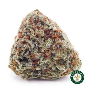 Buy weed Black Cherry Haze AAA wc cannabis weed dispensary & online pot shop