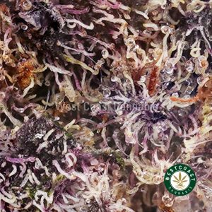 Buy weed Purple Frost AAAA wc cannabis weed dispensary & online pot shop