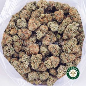 Buy weed Cherry Haze AA wc cannabis weed dispensary & online pot shop