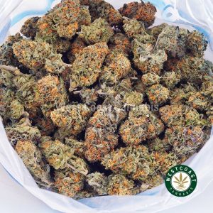 Buy weed Gelato AA wc cannabis weed dispensary & online pot shop