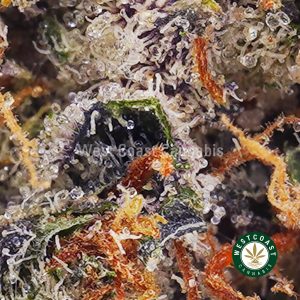 Buy weed Supreme Blueberry AAAA+ wc cannabis weed dispensary & online pot shop