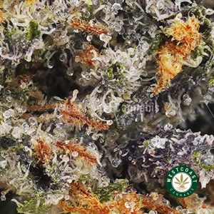 Buy weed Pink Rockstar AAA wc cannabis weed dispensary & online pot shop