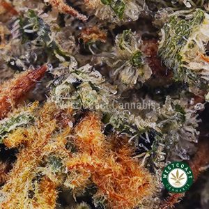 Buy weed Trainwreck AA wc cannabis weed dispensary & online pot shop