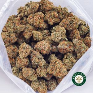 Buy weed Trainwreck AA wc cannabis weed dispensary & online pot shop