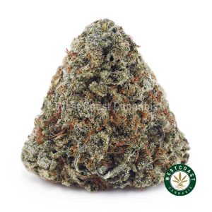 Buy weed AK – 47 AA wc cannabis weed dispensary & online pot shop