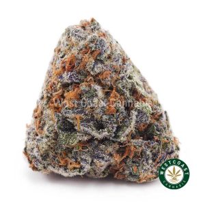 Buy weed Grape Kush AAAA wc cannabis weed dispensary & online pot shop