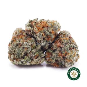 Buy weed Biscotti Cookies AAAA (Popcorn Nugs) wc cannabis weed dispensary & online pot shop