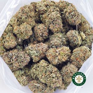 Buy weed Mango Haze AA wc cannabis weed dispensary & online pot shop