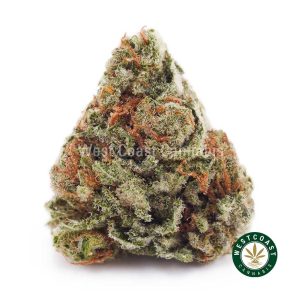 Buy weed Papaya Haze AA wc cannabis weed dispensary & online pot shop