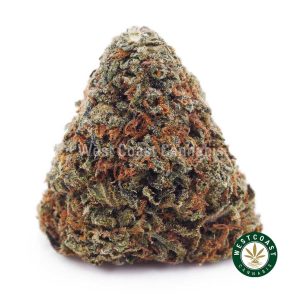 Buy weed Hindu Skunk AA wc cannabis weed dispensary & online pot shop