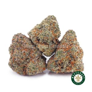 Buy weed GMO Cookies AAAA (Popcorn Nugs) wc cannabis weed dispensary & online pot shop