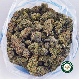 Buy weed Critical Kush AA wc cannabis weed dispensary & online pot shop