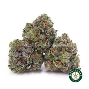Buy weed Blue Venom AAAA (Popcorn Nugs) wc cannabis weed dispensary & online pot shop