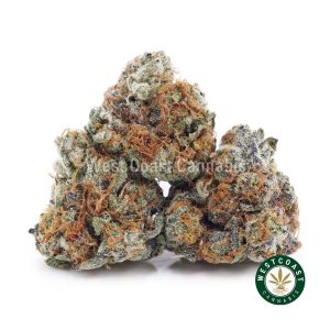 Buy weed Gushers AAAA (Popcorn Nugs) wc cannabis weed dispensary & online pot shop