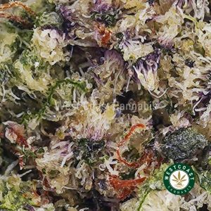 Buy weed Atomic Pink AAAA (Popcorn Nugs) wc cannabis weed dispensary & online pot shop